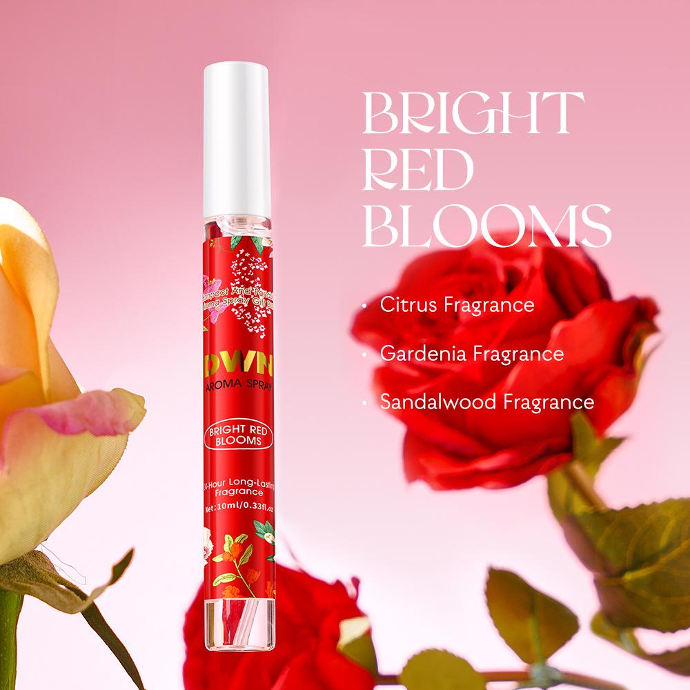 Alcohol-Free Perfume Gift Set: Long-Lasting Fresh & Elegant Fragrance Mist for Outdoor Beach Ladies