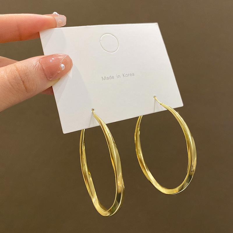 Преувеличенные личностные металлические большие серьги холодный ветер универсальный темперамент серьги-кольца женские серебряные иглы для ушей