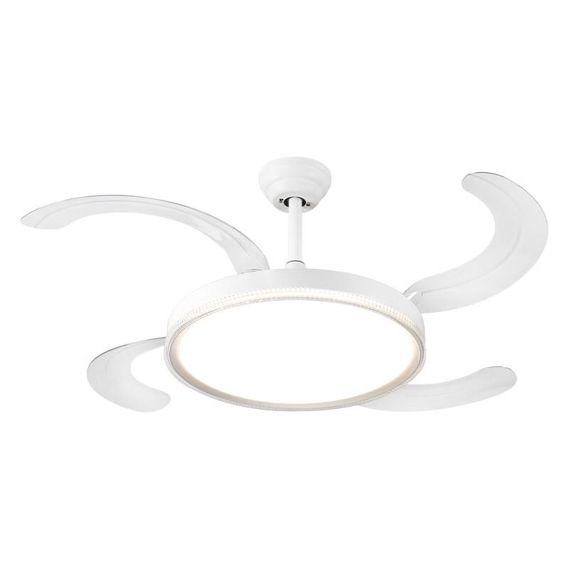 Dream Bubble Eye Protection Invisible Ceiling Fan Light