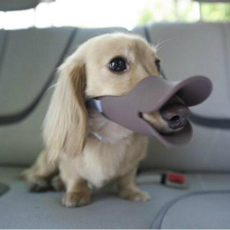 duck bill dog muzzle
