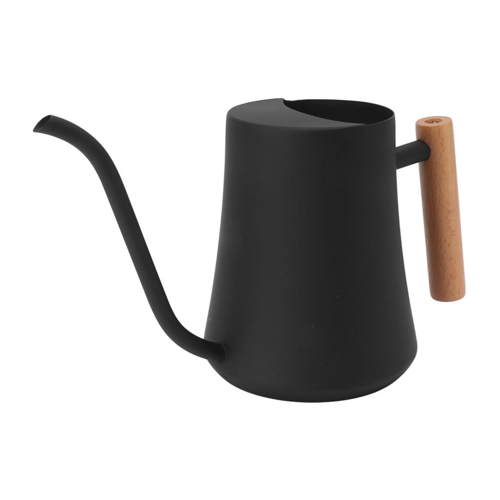 Stainless Steel Watering Can Pot Retro Small Plant Watering Can with Wooden Handle for Indoor Outdoor 1000ML
