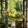 Frog Garden Statue Sleeping Frog On Swing Tree Sculpture Animal Cute Figurine For Patio Yard Porch Lawn Balcony Tree Decor