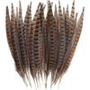 30 Stück Natürliche Fasanenfedern, DIY Fasanenschwanzfeder, 15-28 cm Weiche Einheimische Feder für Haare Hüte Basteln Partydekoration, Natürliche Farbe