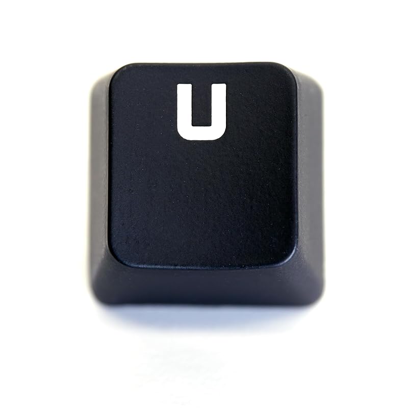 

logitech GPRO G PRO X keycap Japanese sequence for replacement [Sold separately] key switch keyboard gaming Compatible with luminescence [BERGBUCH]