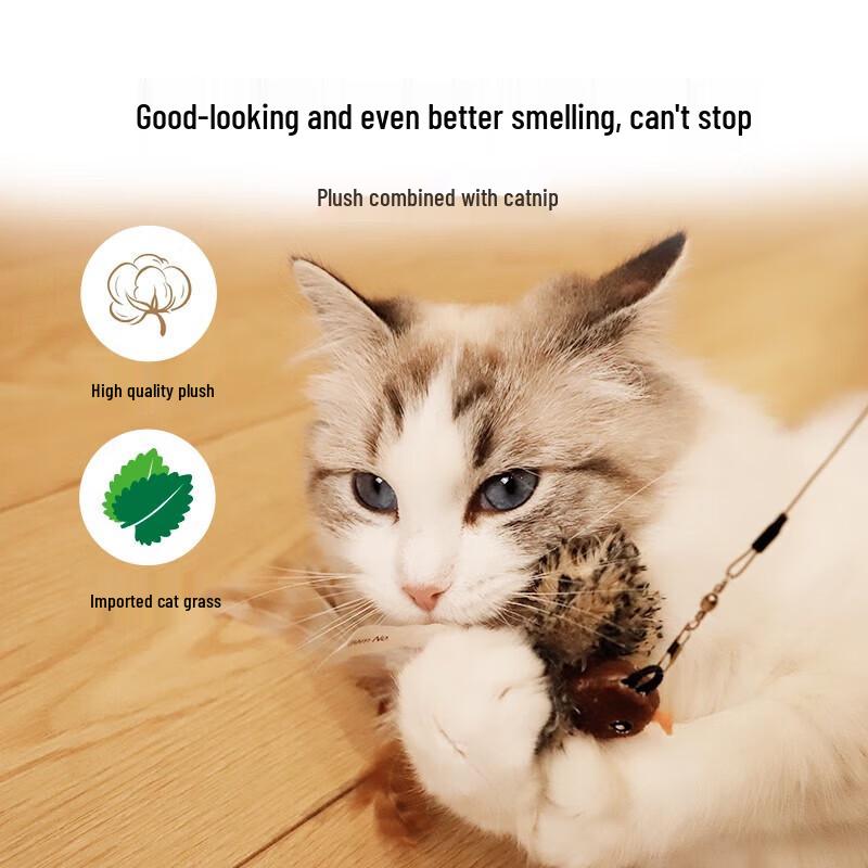Retractable Feather Cat Teaser Wand
