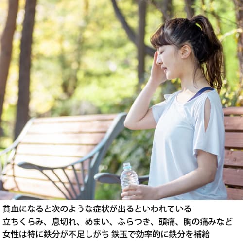 Takagi Metal Iron Ball, NZ-TN, for Coloring Pickles and Supplementing Iron, Made in Japan, Nanbu Ironware, Iron Eggplant