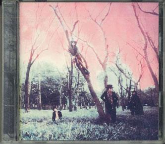 

CD NEWEST MODEL - Crossbreed Park KICS30 Fruitgum Compan 1990 Japan Rock