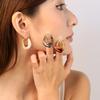 French Maillard Vintage Fashion U-shaped Resin Earrings Light Luxury High-end Stainless Steel Girls' Personalized Jewelry
