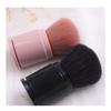 Fainie - Retractable Blush Brush