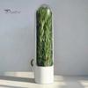 Plant Stem Hydrator Herb Saver for Refrigerator, Pods Cilantro Containers Refrigerator Side Door Storage Fresh Keeper Parsley Asparagus Kitchen