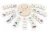 Toy Game For Children Wheel of Life Stages of Plant and Animal Development Montessori