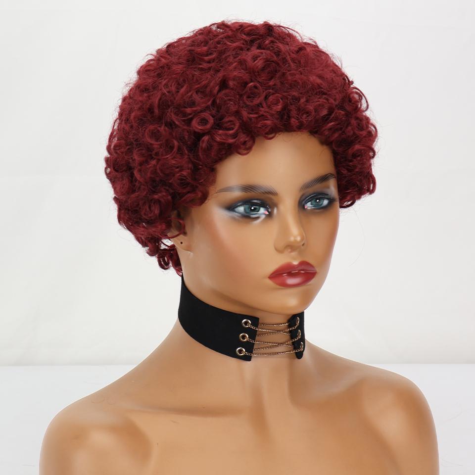 LISI HAIR Red Synthetic Fiber Short Wigs Short Curly Wigs for African Women Curly Wigs for Cosplay Daily Wear
