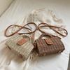 2025 Women Leisure Rattan Tote Box Lady Handbag Trendy Weaving Crossbody Bag Retro Straw Summer Beach Bag Messenger Bag