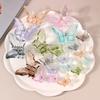 3PCS Transparent Butterfly Hairpin, Back of Head Hairpin, Shark Clip, High Ponytail Clip, Hair Accessories