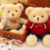 Ou Mink Sweater Teddy Bear Doll Doll Plush Toy Grab Machine Doll Boyfriend and Girlfriend Birthday Gift