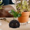 Hollowed Plants Soil Protector Cover Plastic Aquatic Plant Suspension Ball  For Fern Phalaenopsis