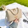 Fashionable Stylish Woven Straw Women's Bag 2026 New Trendy Chain Handbag Simple Shoulder and Crossbody Small Bag
