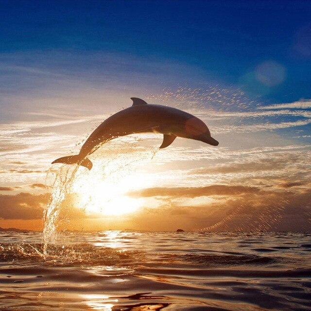 5D DIY Diamond Painting Dolphin Full Square Diamond Embroidery Animal Rhinestone Of Picture Cross Stitch Home Decoration