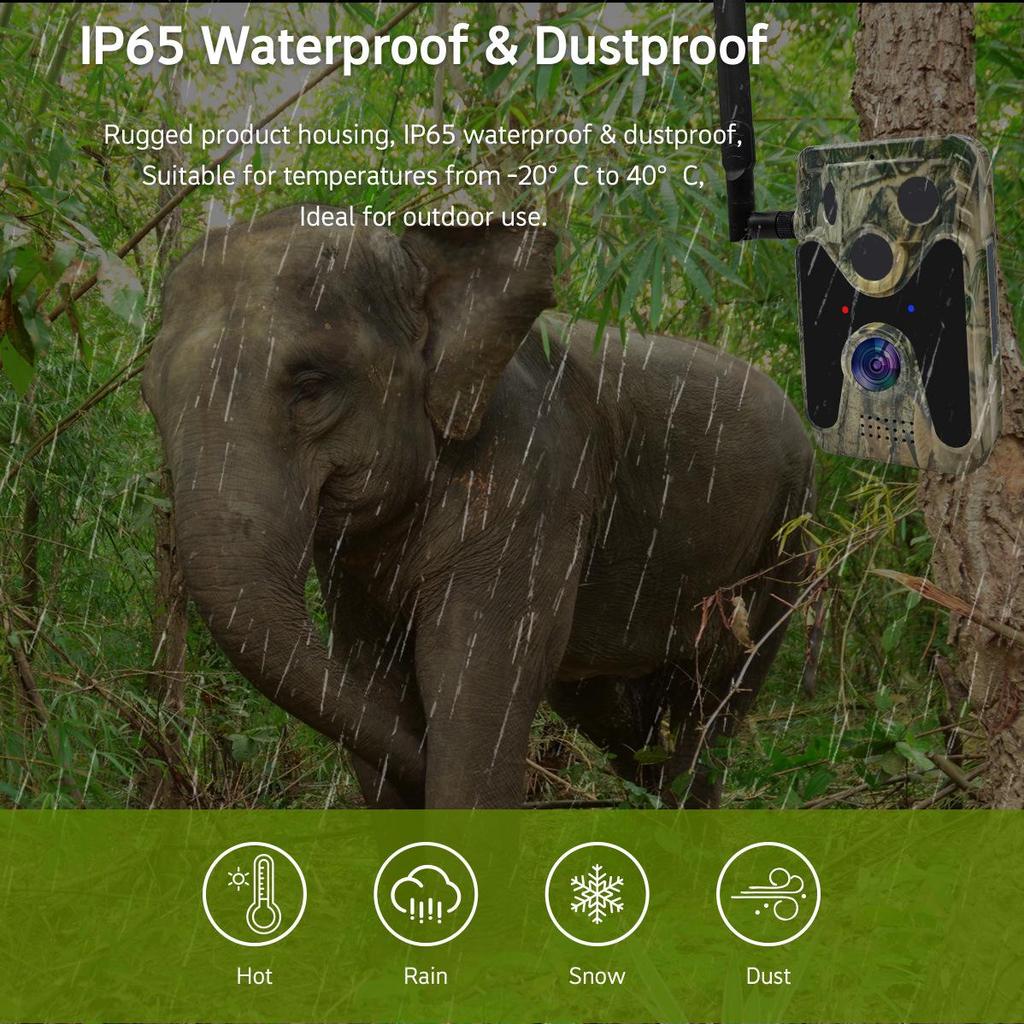 4G Solar-Powered Outdoor Hunting Camera with Infrared, Waterproof for Wildlife Monitoring