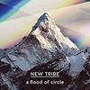 CD A FLOOD OF CIRCLE  New Tribe TECI1534 Imperial 2017 Japan Rock Used