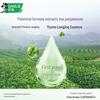 Darlie Tea Protect Thyme Longjing Herbal Gum Care Toothpaste