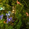 2 Modes Garden Solar Lights Butterfly Solar Landscape Lights Solar Lawn Lights  Outdoor