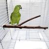 1PC Bird Perch Natural Grape Stick Chewable Bird Stand Paw Grinding Branches Toy Cage Accessories for Small Budgies Cockatiels Lovebirds