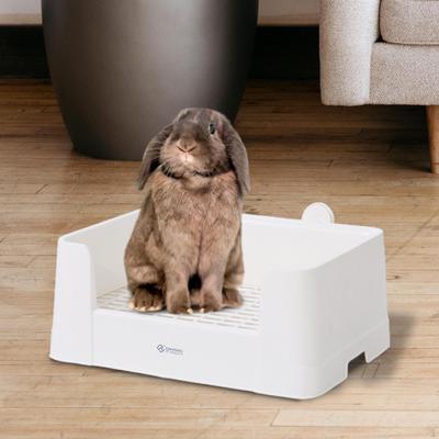 Hase Padhalter Niedlich Leicht zu Reinigen Haustier Töpfchen für Haustiere Welpe Kleintiere