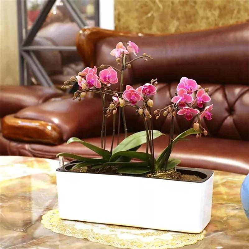 Rectangular Self Watering Flowerpot with Water Level Indicator for Garden Balcony Office Flowers Planting Pot Bonsai Containers