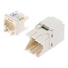 Panduit Cat6 Rosette Box Kit with Shutter, 6 Outlets, White, JOQ6H600