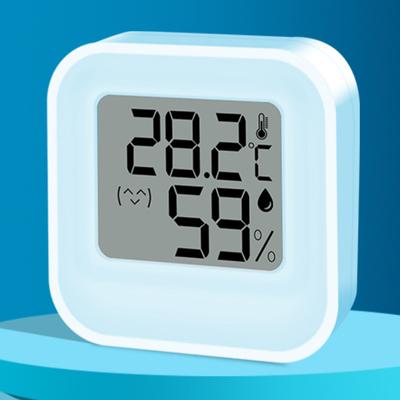 Mini Electronic Thermometer Indoor and Outdoor Household Baby Room Flower Room Thermometer Electronic Thermometer
