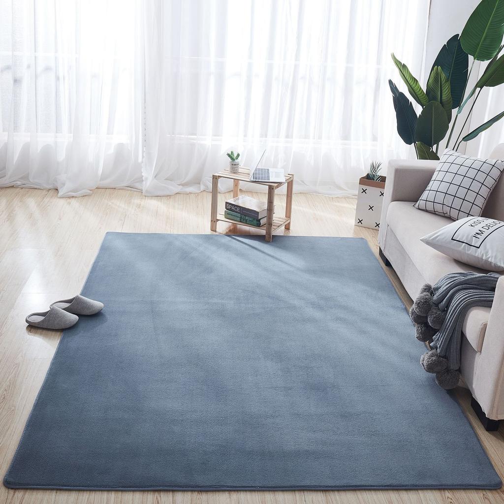 Thickened Coral Velvet Carpet Floor Mat Door Mat Door Entry Living Room Bedroom Bathroom Toilet Kitchen Absorbent Foot Mat