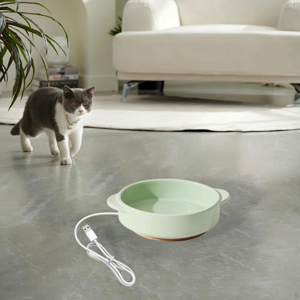 Pet Heated Bowl Ceramic Waterer Elevated Cat Dog Feeding for Winter