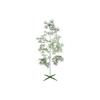 Artec Extra Large Tanabata Bamboo Tree (2m) with Stand - Tanabata Decoration, Bamboo Tree, Plastic, Artificial Bamboo, Decoration, Display, Fake