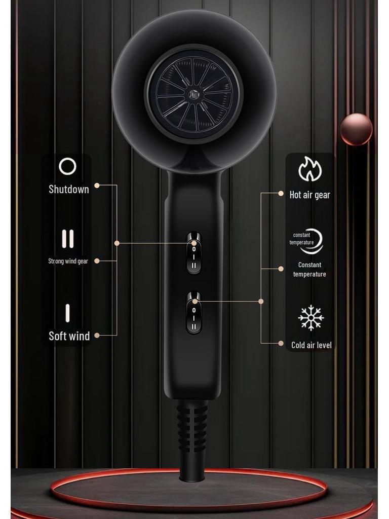 High-Power Salon Hair Dryer: Quick-Dry Negative Ion, Hot & Cold Air for Hair Care