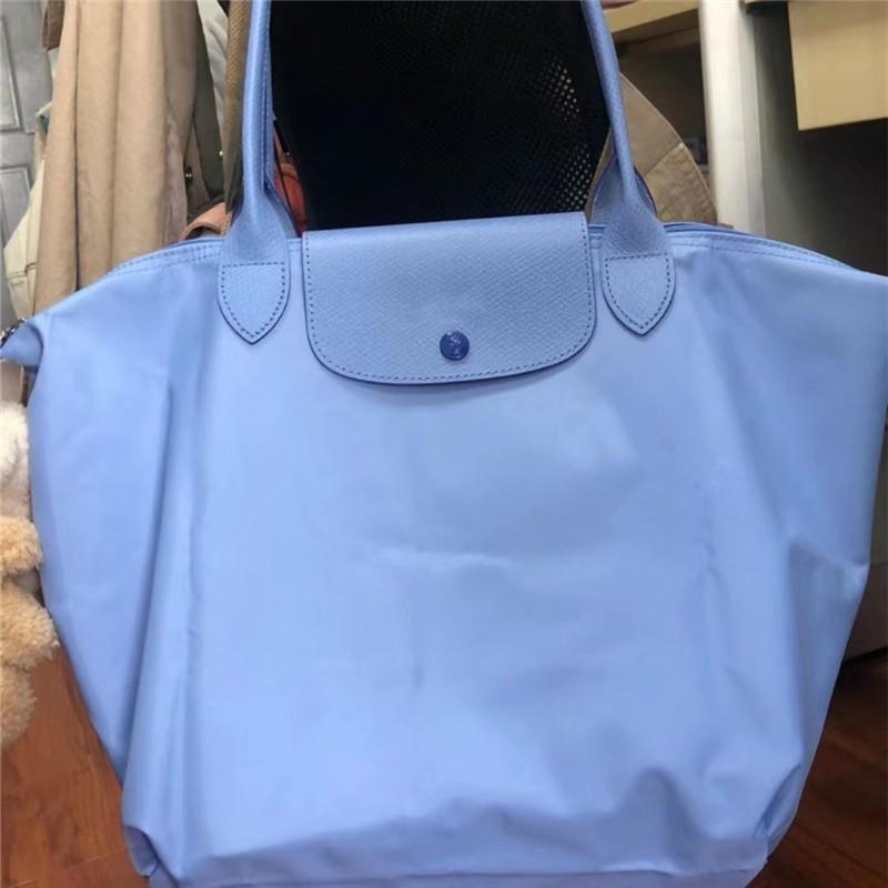 Unique Style Dumpling Large Nylon Shoulder Bag For Women With Ecofriendly Features In Hues Classic