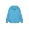 Adidas Sweatshirts Men's Blue Hooded Moderate Regular HG1846
