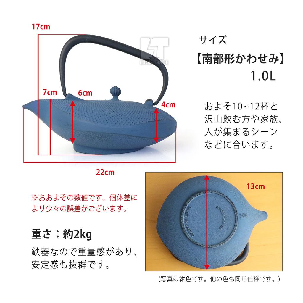 Oshu Nanbu Ironware Teapot Nanbu Shape Kawasemi Enameled with Tea Strainer Made In Japan Iron Kettle Iron Teapot Stylish Gift Interior Cups 22 X 17cm