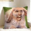 Cozy N-Nicolas Cage Headshot Pillow Cover  Comfy Cushion Cover Funny Pillow Case For Sofa Couch Bed Living Room