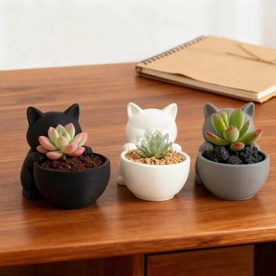 Mini Kleiner Blumentopf Katzenform mit Drainagelöchern Kakteen Topfpflanze Einzigartig Gestaltet Sukkulenten Pflanztopf