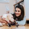 Dog Chew Toys Fun Interactive Safe Games Dog Chew Bone For Home Garden Yard Indoor Outdoor Park Pool Travel Family Time Friends