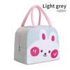 Children Lunch Bag Portable Cute Dinosaur Animals Waterproof Food Warmer Lunch Box Bento Insulated Bag Kids School Food Storage Bags