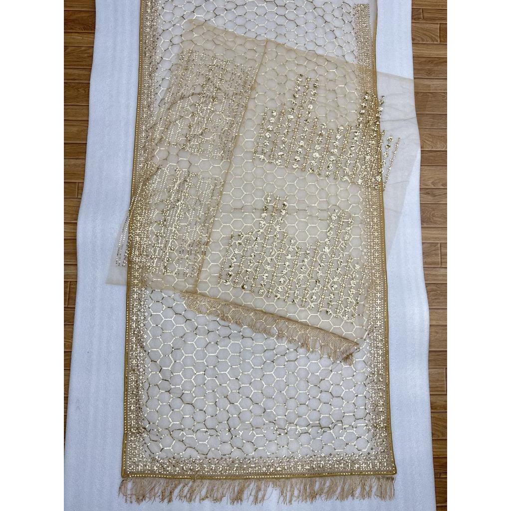 Hochwertiger Saree mit Schmetterlingsnetz-Stickerei