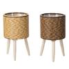 Handcrafted Yellow Rattan Plant Stand Durable And Portable Holder For Showcasing Green In Homes Offices Or Patios