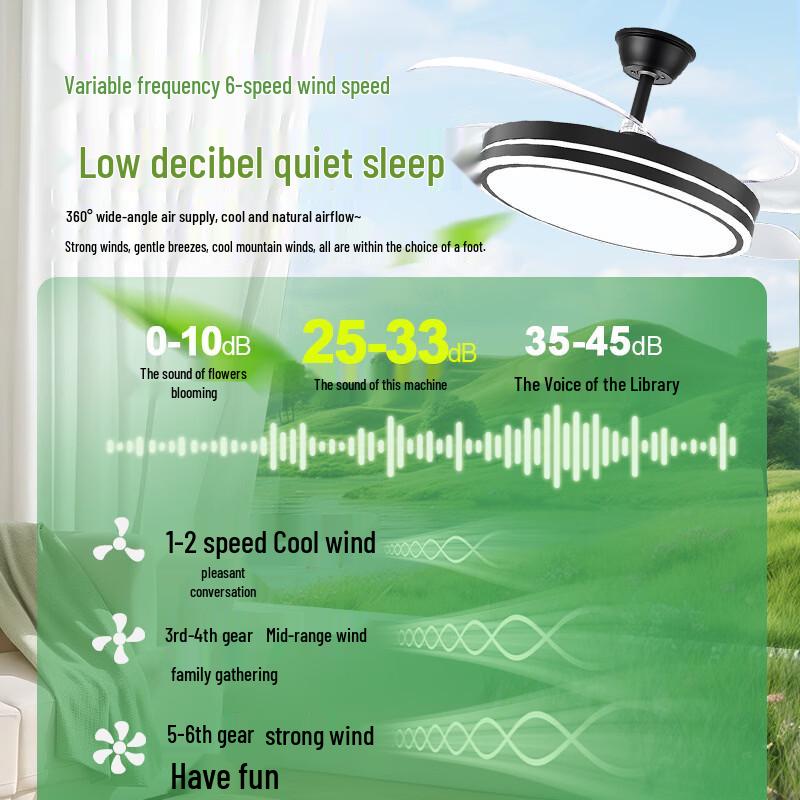 Oeny 42-inch Black Yurt Style Ceiling Fan Light