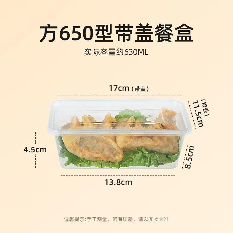 Temeiju TMJ-939 Plastic Lunch Box