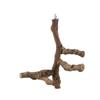 Holz Vogel Sitzstange Stand Aktivitätszentrum Papageien Sitzstange Plattform Holzständer Spielzeug für Kongas Nymphensittiche Wellensittiche Aras Liebesvögel