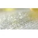 Gelber Food Vitamin Toner 500ml