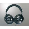 Audio-Technica ATH-WS1100 Headphones - Black