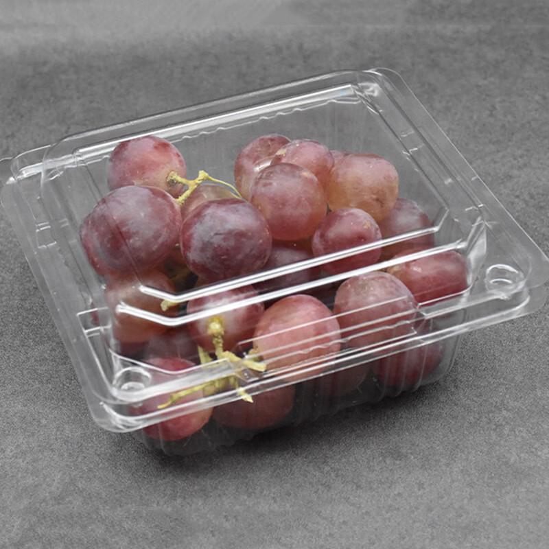 Disposable Fruit and Vegetable Packaging Containers